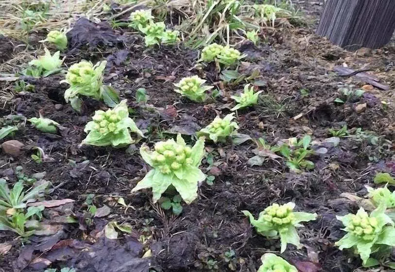 ホテル Kutsurogian