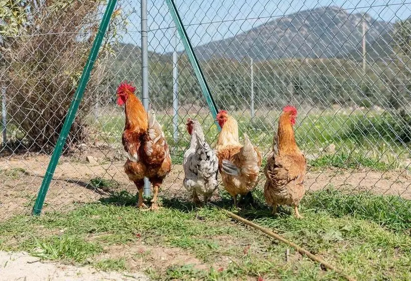 ペンション Beth La Casa Della Luna