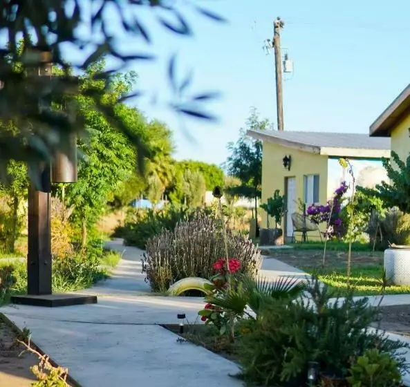 پانسیون El Mezquite Hotel Mexicano Hab Jorge Negrete