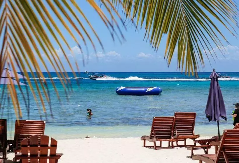 هتل Maia Suites Cozumel