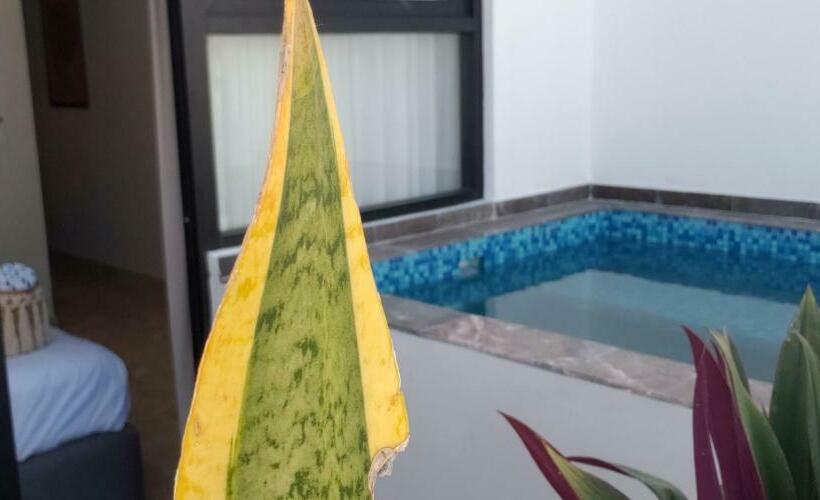 Penthouse Delux, Elle Residence, Aldea Zama, Condo