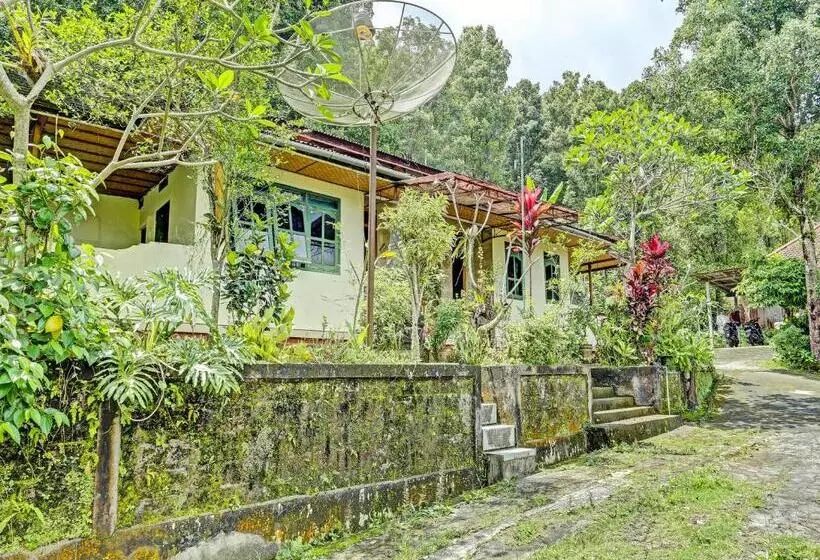ホテル Oyo Homes 91094 Desa Wisata Banyuatis