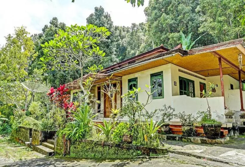 ホテル Oyo Homes 91094 Desa Wisata Banyuatis