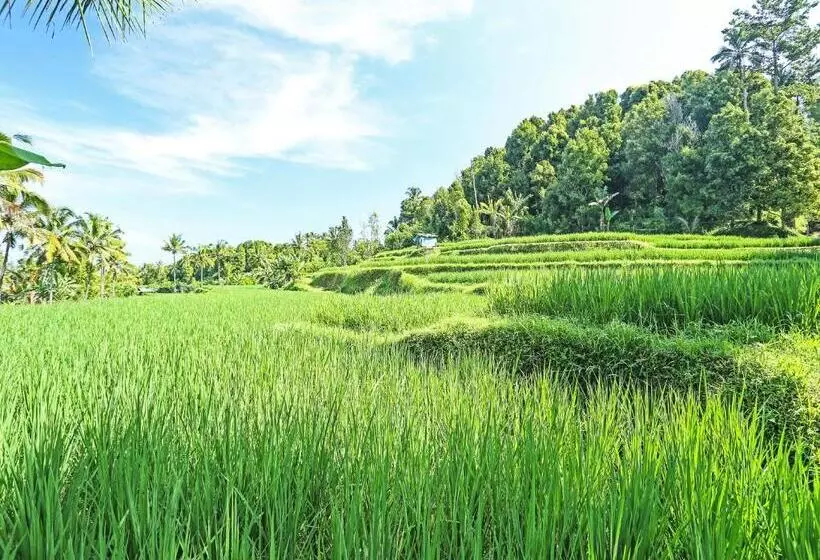 ホテル Oyo Homes 91094 Desa Wisata Banyuatis