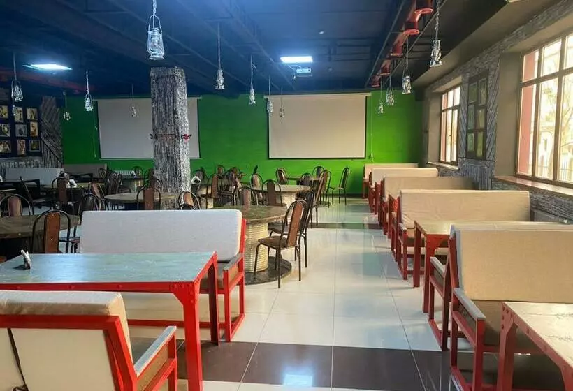 هتل гостиница оазис