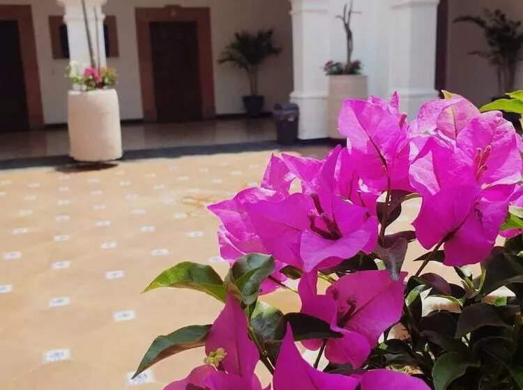Hotel Catedral