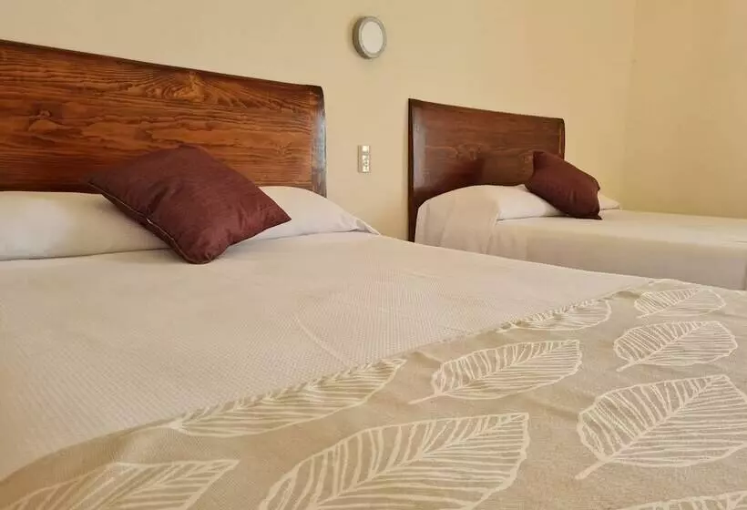 Hotel Catedral