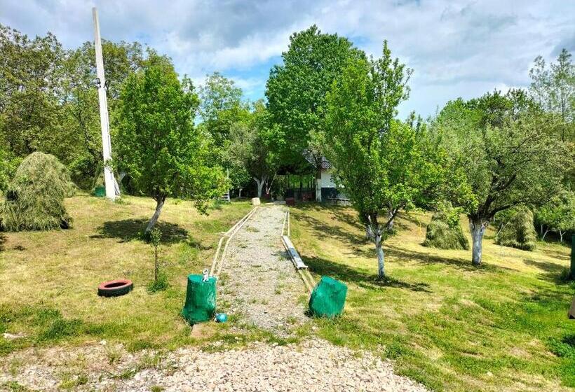 بنسيون Conacul Doamnei Nucșoara