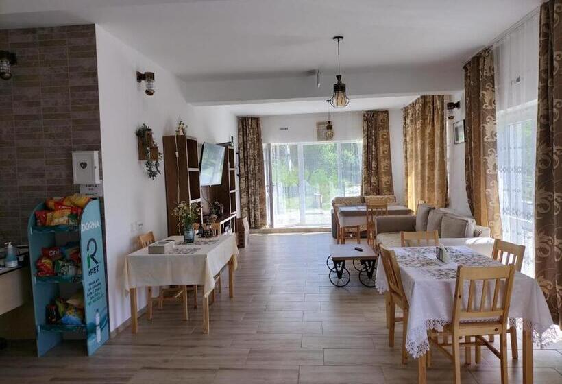 بنسيون Conacul Doamnei Nucșoara