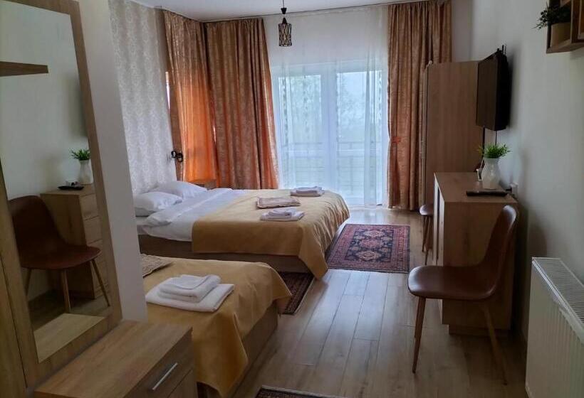 بنسيون Conacul Doamnei Nucșoara