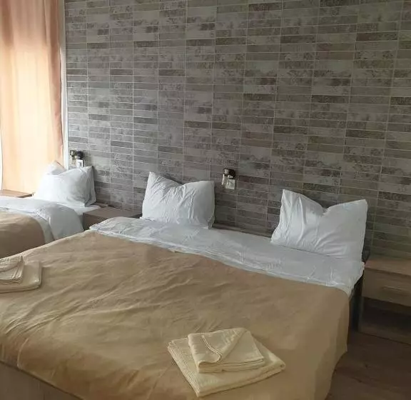 Majatalo Conacul Doamnei Nucșoara