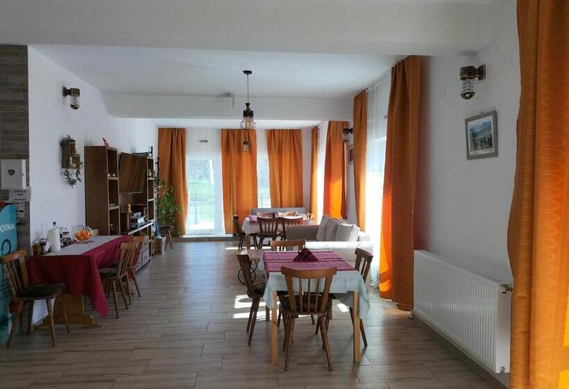 بنسيون Conacul Doamnei Nucșoara