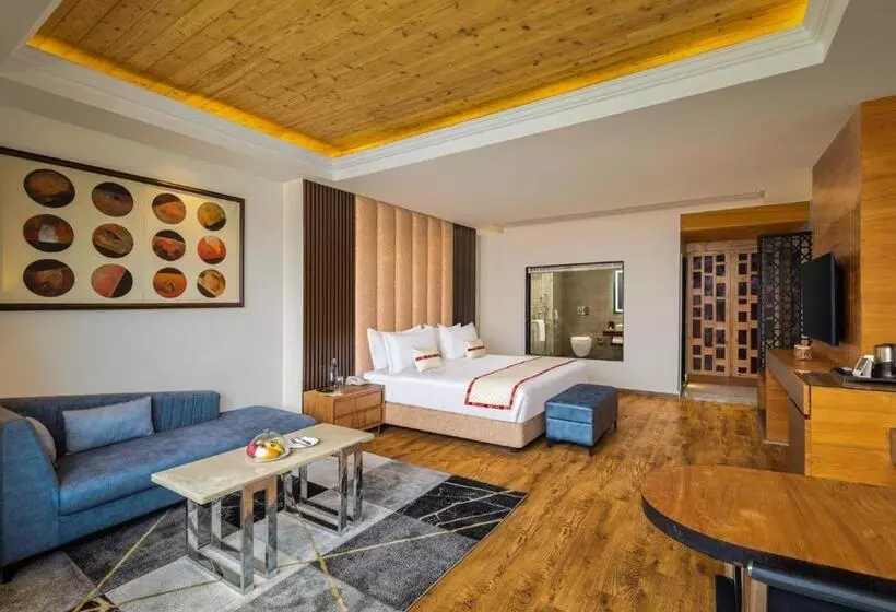 Justa Cliffend Resort & Spa Mashobra