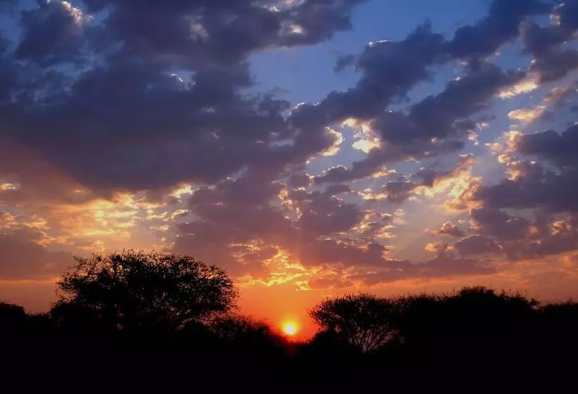 هتل Arebbusch Travel Lodge