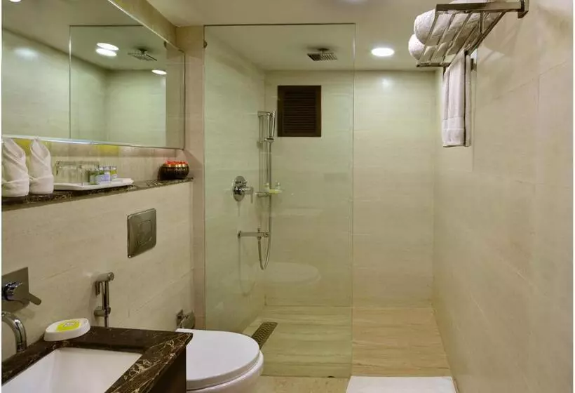 酒店 Golden Tulip Srinagar