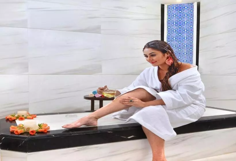 酒店 Golden Tulip Srinagar