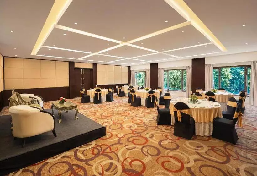 酒店 Golden Tulip Srinagar