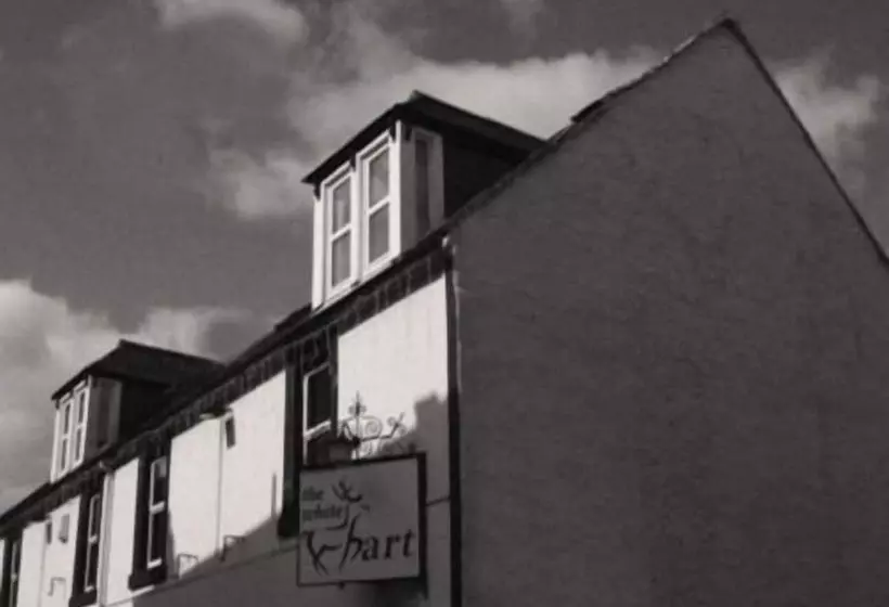 هتل White Hart