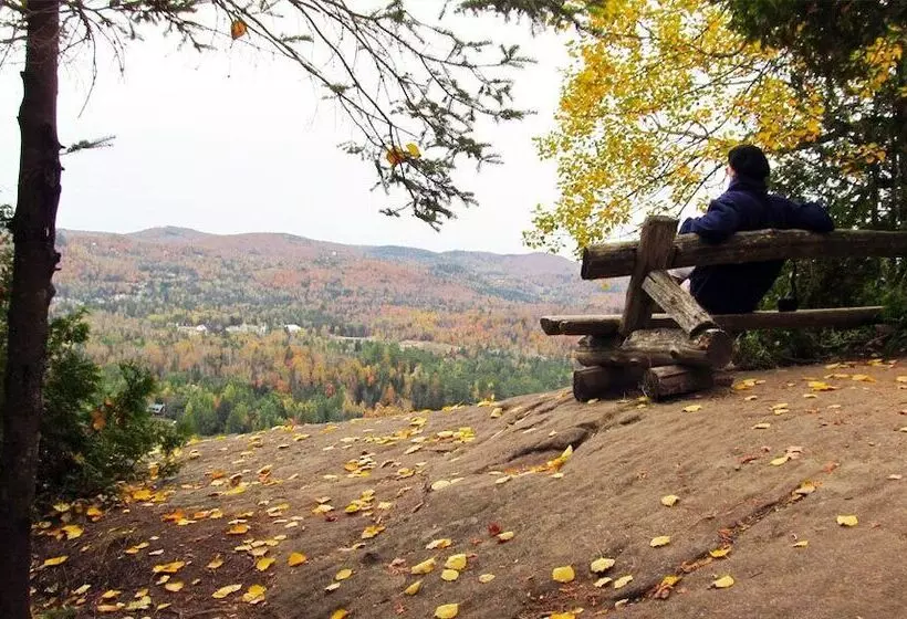 渡假胜地  Auberge Du Vieux Foyer