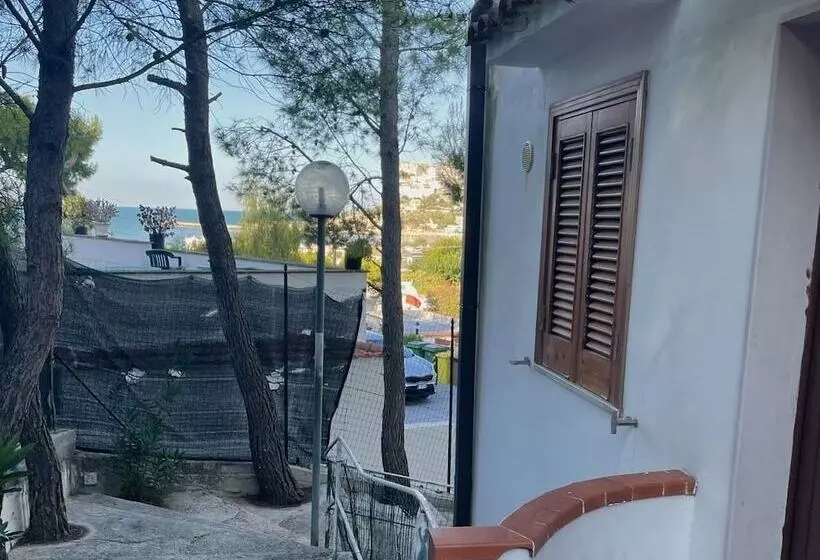 Residence Montepucci