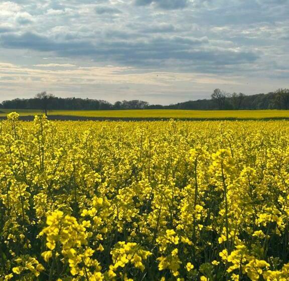 민박 Altenmedinger Hof