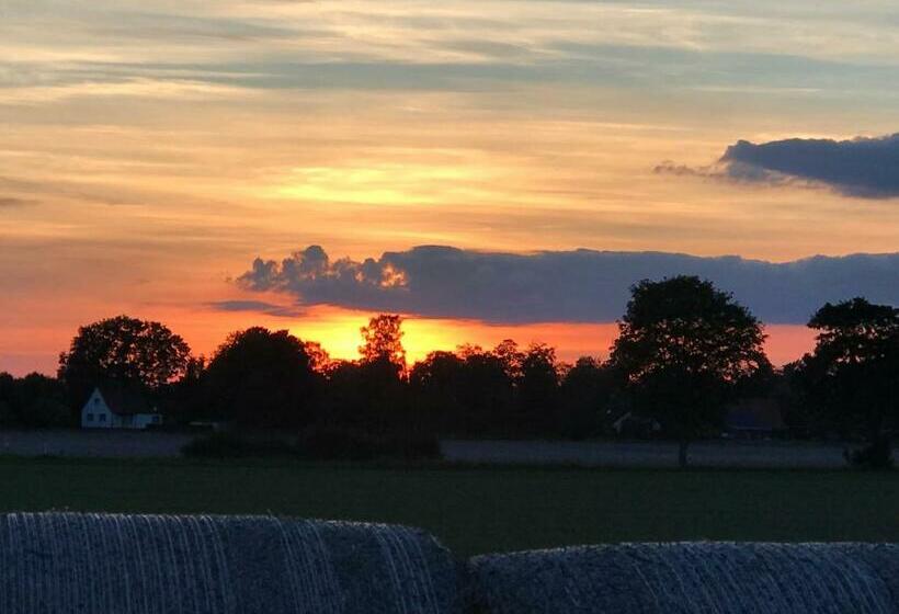 민박 Altenmedinger Hof