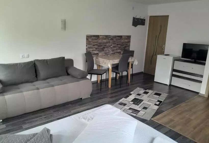 تختخواب و صبحانه Apartamente Ambrus E Studio 21 Praid