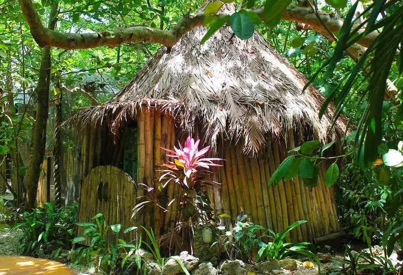 هتل Great Huts