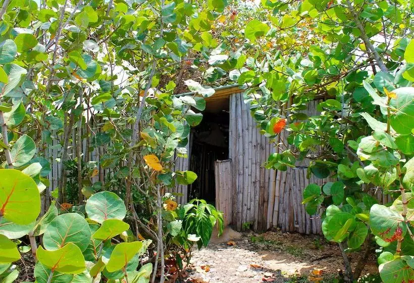 هتل Great Huts