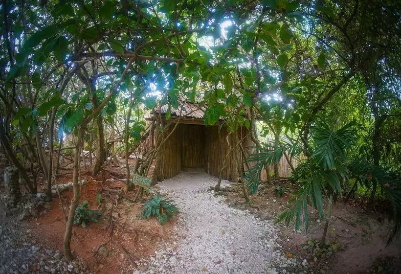 هتل Great Huts