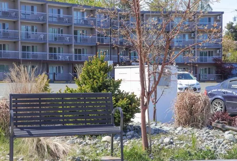 Hotel The Waterfront Suites And Marina