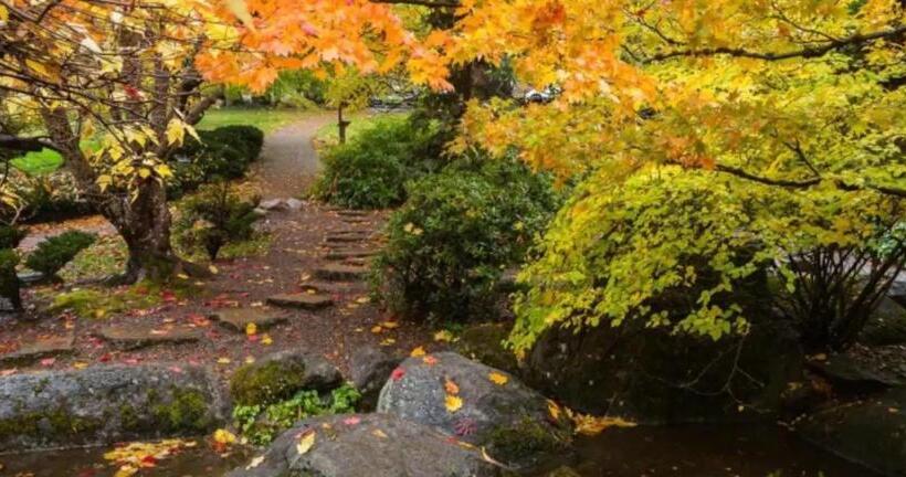 Seventh Mountain Resort