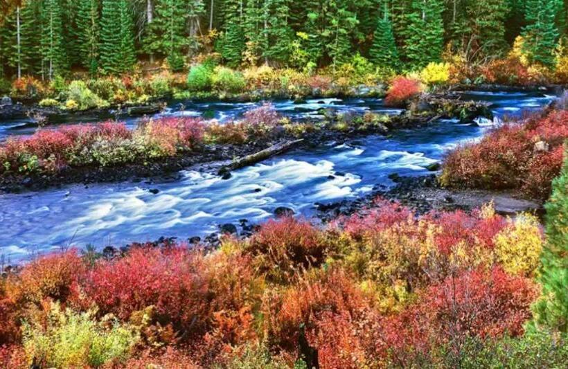 Seventh Mountain Resort