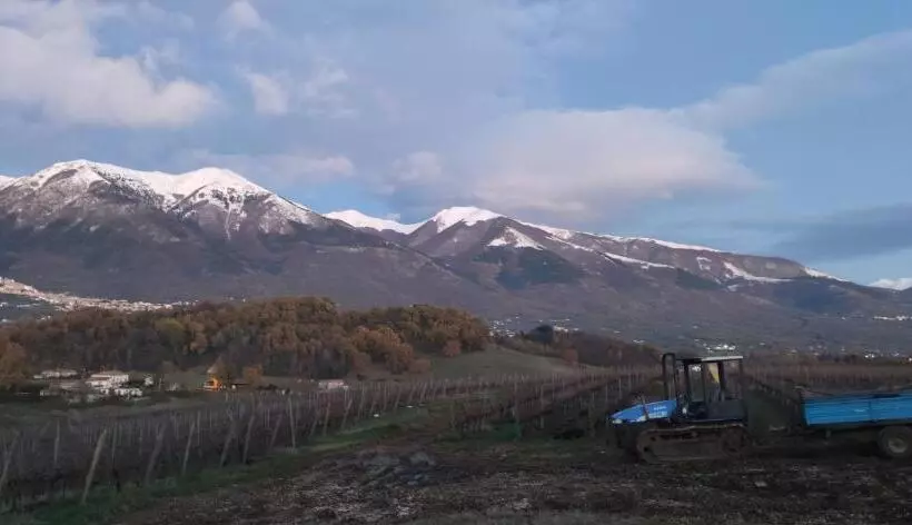 Vigna Al Parco