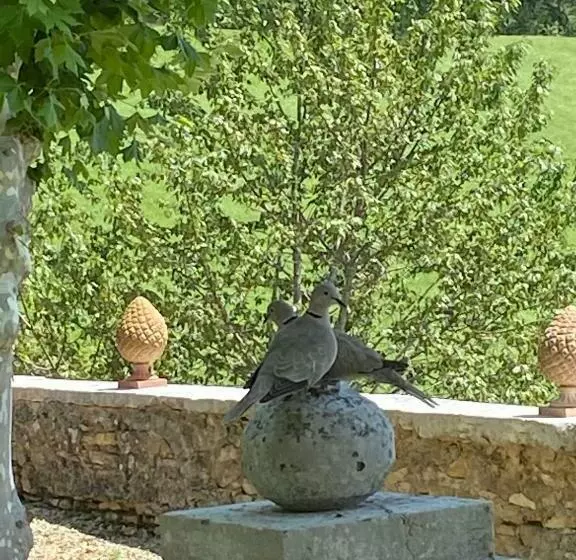 Majatalo Clos De Mont July, Chambres Avec Vue Et Terrasse Dans Demeure Historique