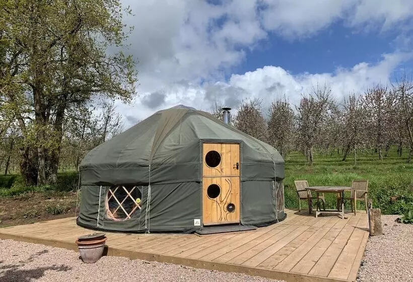 Hotelli Dragon Orchard Retreat