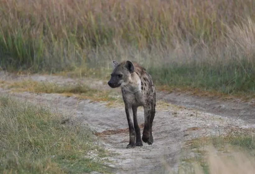 هتل Ngangane Lodge & Reserve