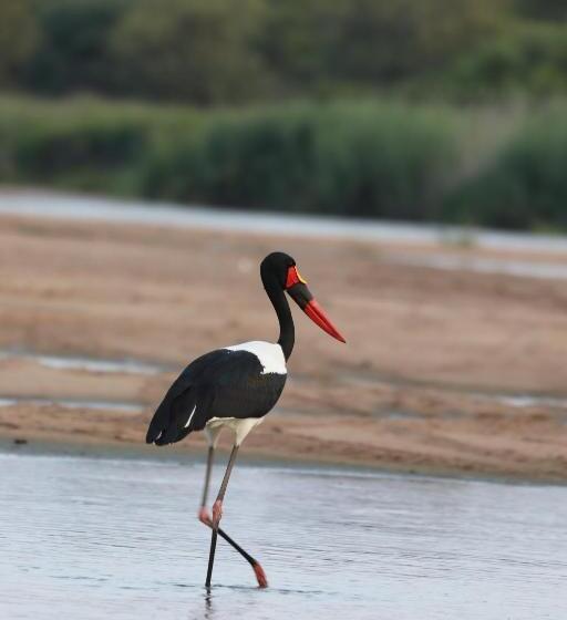 هتل Ngangane Lodge & Reserve