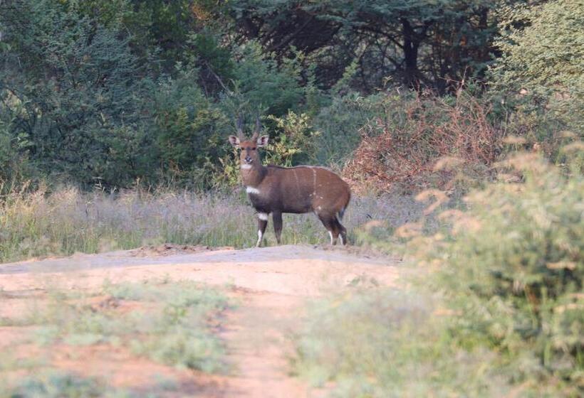هتل Ngangane Lodge & Reserve