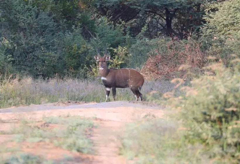 هتل Ngangane Lodge & Reserve