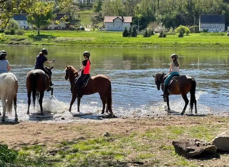 Hotelli Reiterhof Schmidt, Gaststätte & Pension