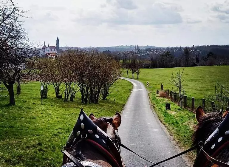 Hotelli Reiterhof Schmidt, Gaststätte & Pension