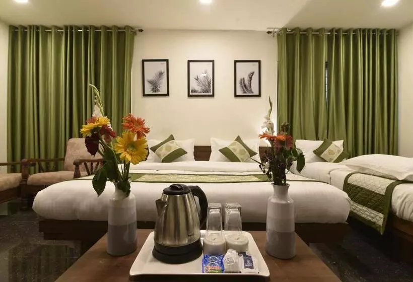 Hotel Clove
