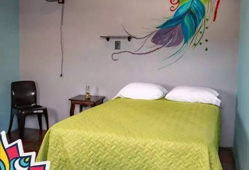 ペンション Hostal Casa Luna