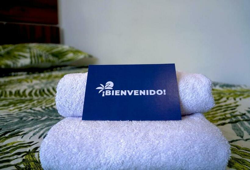 ホテル Mystic Paracas