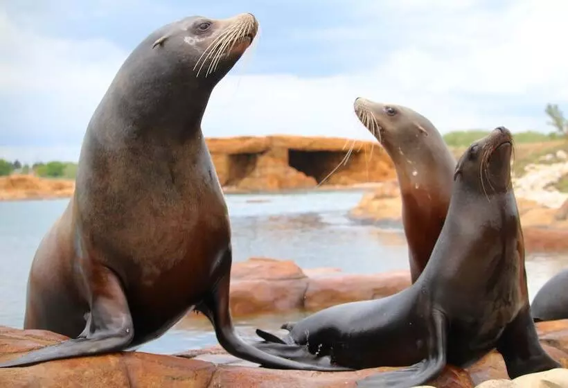 Hex Wildlife Hotel At Yorkshire Wildlife Park