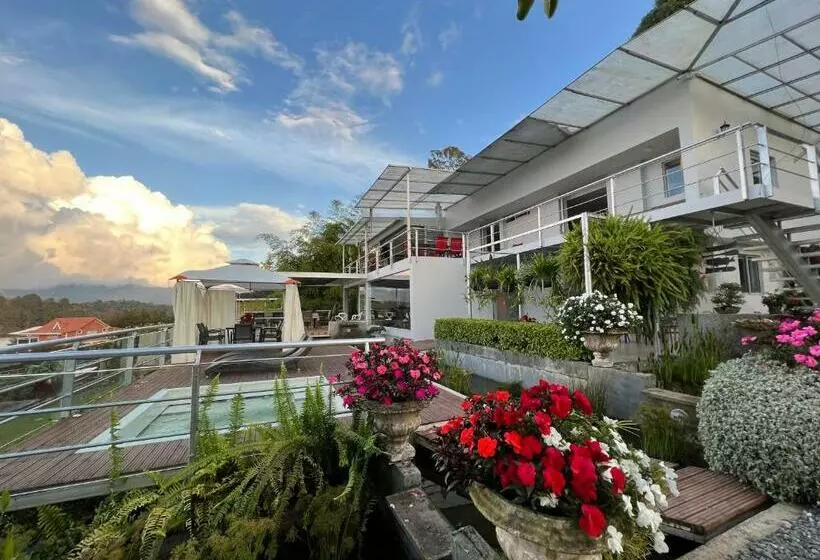 ホテル Bania Travels