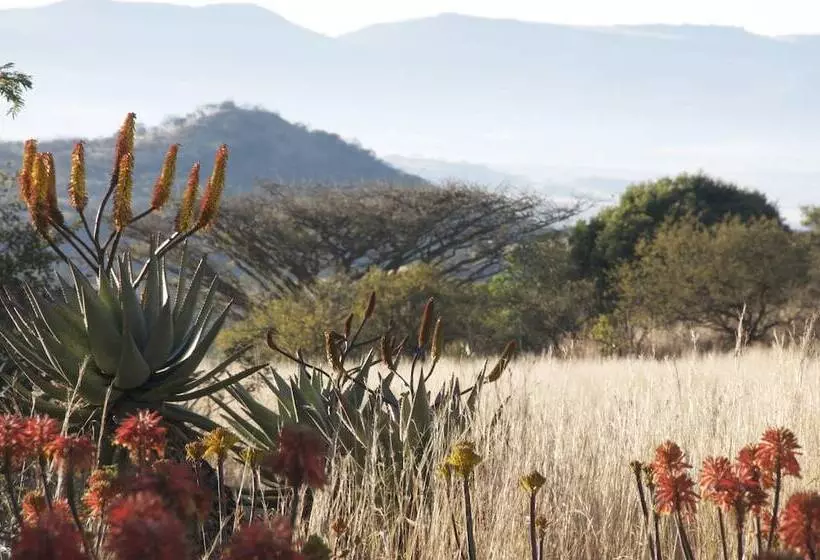 호텔 Three Tree Hill Lodge