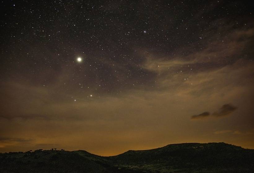 酒店 Three Tree Hill Lodge