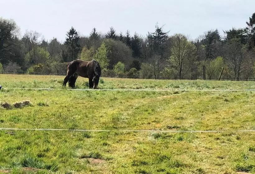 Aamiaismajoitus (B&B) Manoir De Botcol